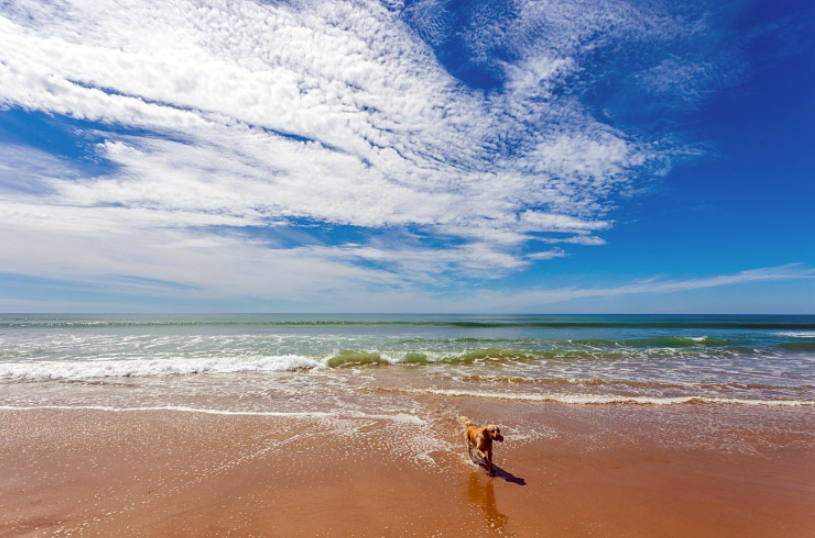 Chato Beach, Spain, Spain